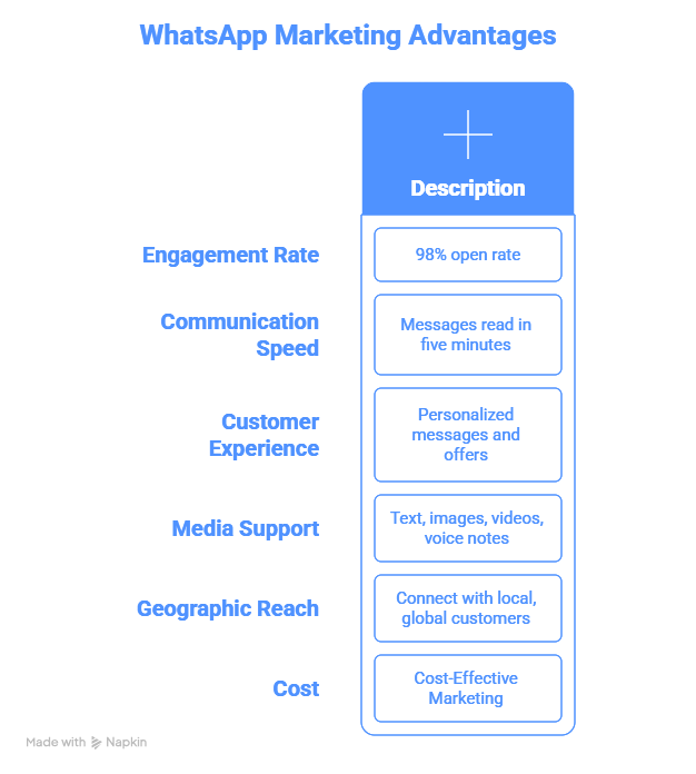 Run WhatsApp Marketing Campaigns